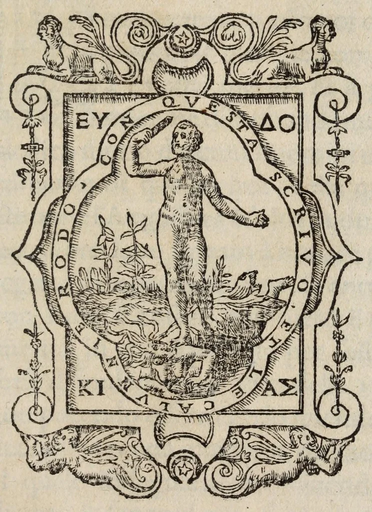 An illustration from La vita et Metamorfoseo d'Ovidio, 1559, leaf 279