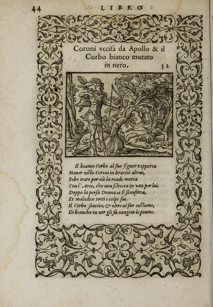 An illustration from La vita et Metamorfoseo d'Ovidio, 1559, leaf 50