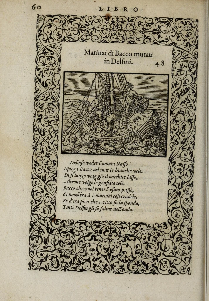 An illustration from La vita et Metamorfoseo d'Ovidio, 1559, leaf 66