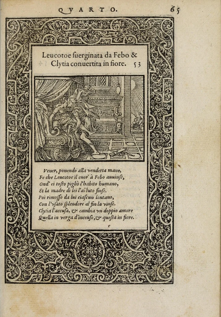 An illustration from La vita et Metamorfoseo d'Ovidio, 1559, leaf 71
