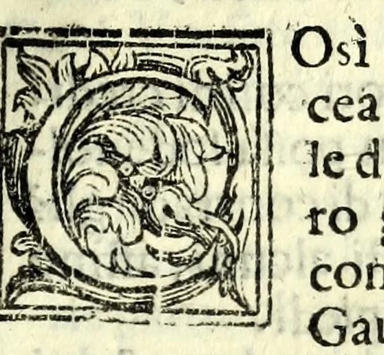An illustration from La vittoria delle donne : nella quale in sei dialogi si scopre la grandezza donnesca & la bassezza virile, 1621, leaf 315