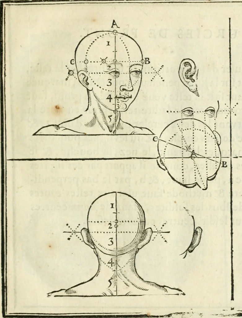 An illustration from La vraye science de la pourtraicture, 1671, leaf 14