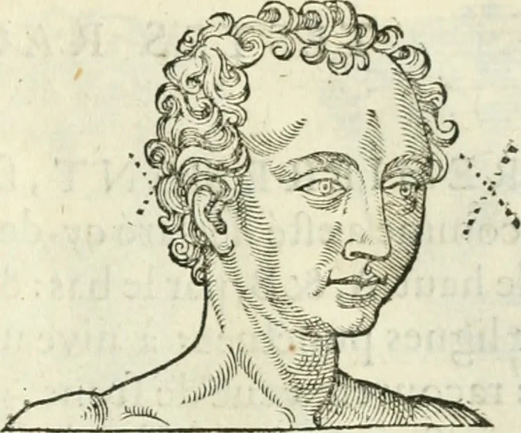 An illustration from La vraye science de la pourtraicture, 1671, leaf 14