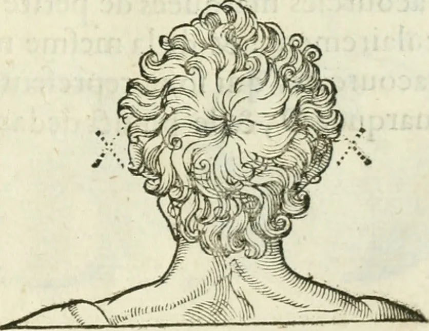 An illustration from La vraye science de la pourtraicture, 1671, leaf 14