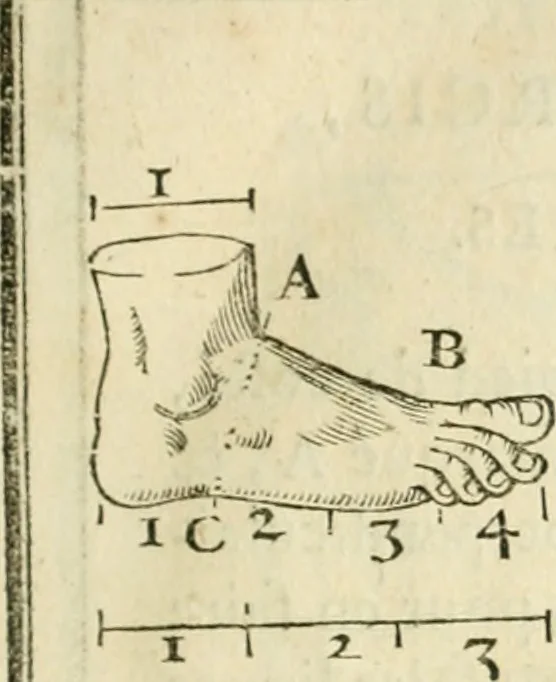 An illustration from La vraye science de la pourtraicture, 1671, leaf 26