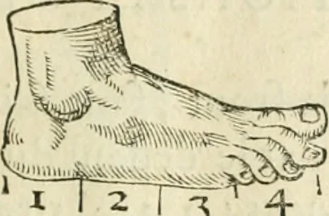 An illustration from La vraye science de la pourtraicture, 1671, leaf 26
