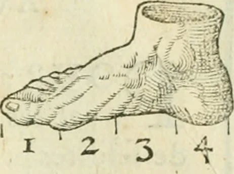 An illustration from La vraye science de la pourtraicture, 1671, leaf 26