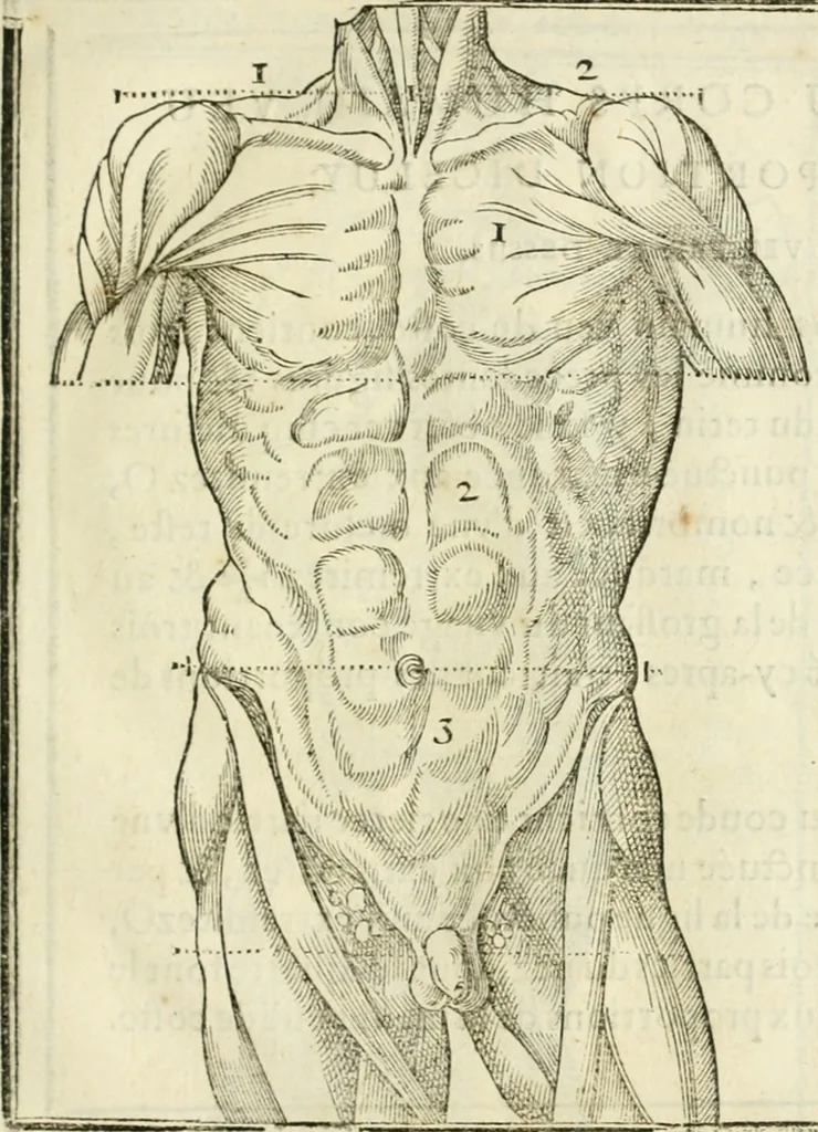 An illustration from La vraye science de la pourtraicture, 1671, leaf 32