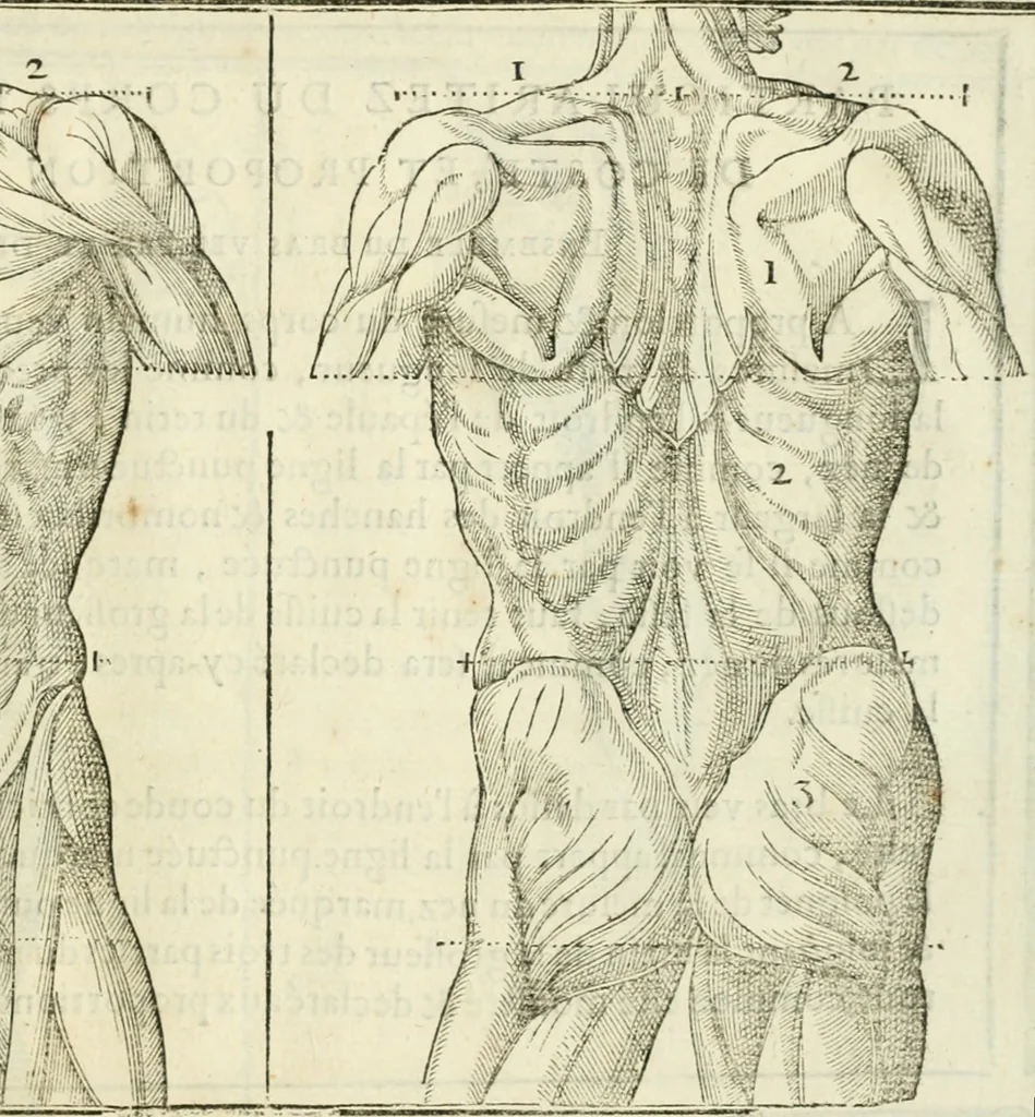 An illustration from La vraye science de la pourtraicture, 1671, leaf 32