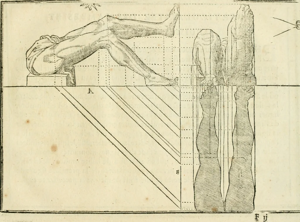 An illustration from La vraye science de la pourtraicture, 1671, leaf 46