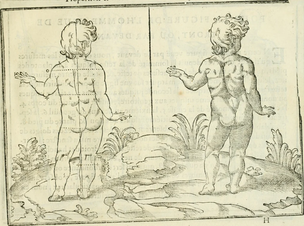 An illustration from La vraye science de la pourtraicture, 1671, leaf 60