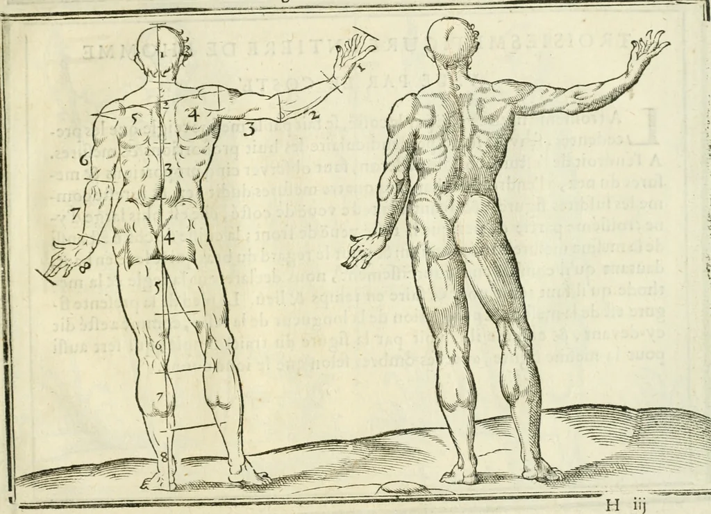 An illustration from La vraye science de la pourtraicture, 1671, leaf 64