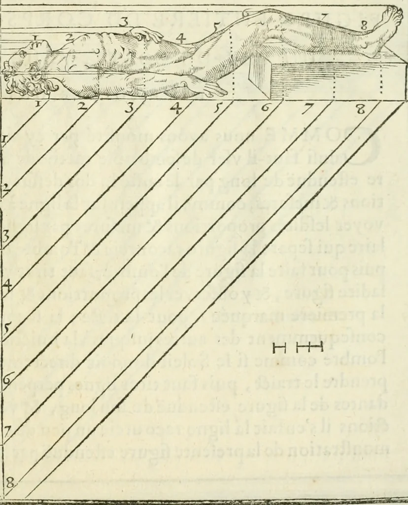 An illustration from La vraye science de la pourtraicture, 1671, leaf 74