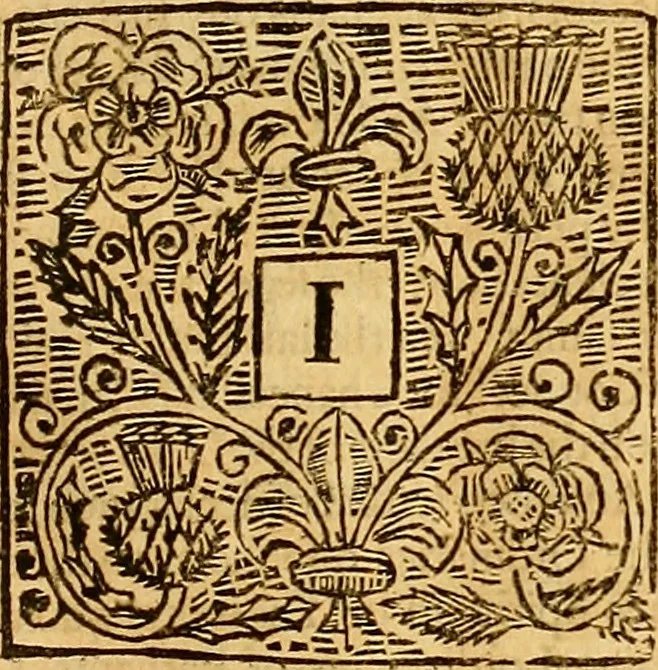 An illustration from The laws and acts of Parliament made by King James the First, Second, Third, Fourth, Fifth, Queen Mary, King James the Sixth, King Charles the First, King Charles the Second who now presently reigns, kings and queen of Scotland : collected and extracted, from the publick records of the said kingdom, 1681, leaf 100