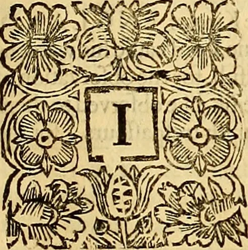 An illustration from The laws and acts of Parliament made by King James the First, Second, Third, Fourth, Fifth, Queen Mary, King James the Sixth, King Charles the First, King Charles the Second who now presently reigns, kings and queen of Scotland : collected and extracted, from the publick records of the said kingdom, 1681, leaf 102