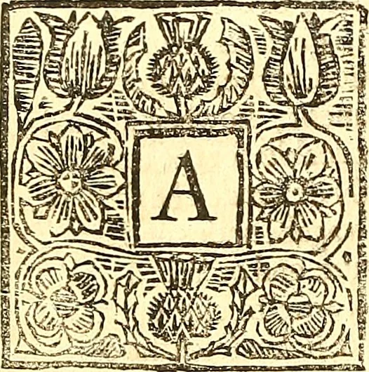 An illustration from The laws and acts of Parliament made by King James the First, Second, Third, Fourth, Fifth, Queen Mary, King James the Sixth, King Charles the First, King Charles the Second who now presently reigns, kings and queen of Scotland : collected and extracted, from the publick records of the said kingdom, 1681, leaf 129