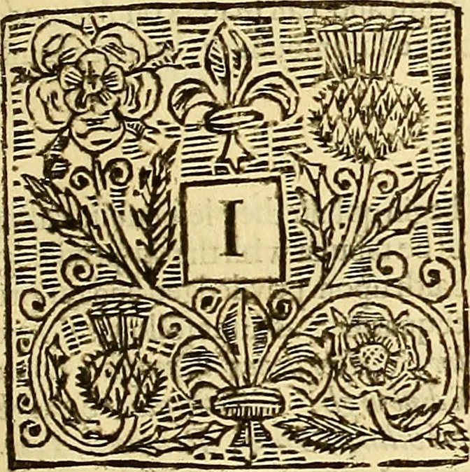An illustration from The laws and acts of Parliament made by King James the First, Second, Third, Fourth, Fifth, Queen Mary, King James the Sixth, King Charles the First, King Charles the Second who now presently reigns, kings and queen of Scotland : collected and extracted, from the publick records of the said kingdom, 1681, leaf 136