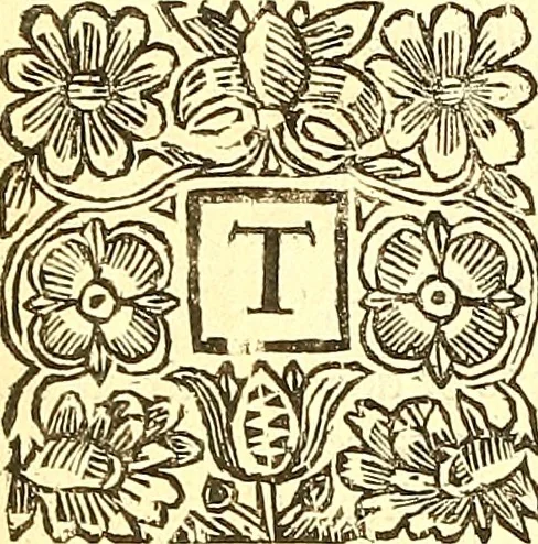 An illustration from The laws and acts of Parliament made by King James the First, Second, Third, Fourth, Fifth, Queen Mary, King James the Sixth, King Charles the First, King Charles the Second who now presently reigns, kings and queen of Scotland : collected and extracted, from the publick records of the said kingdom, 1681, leaf 141