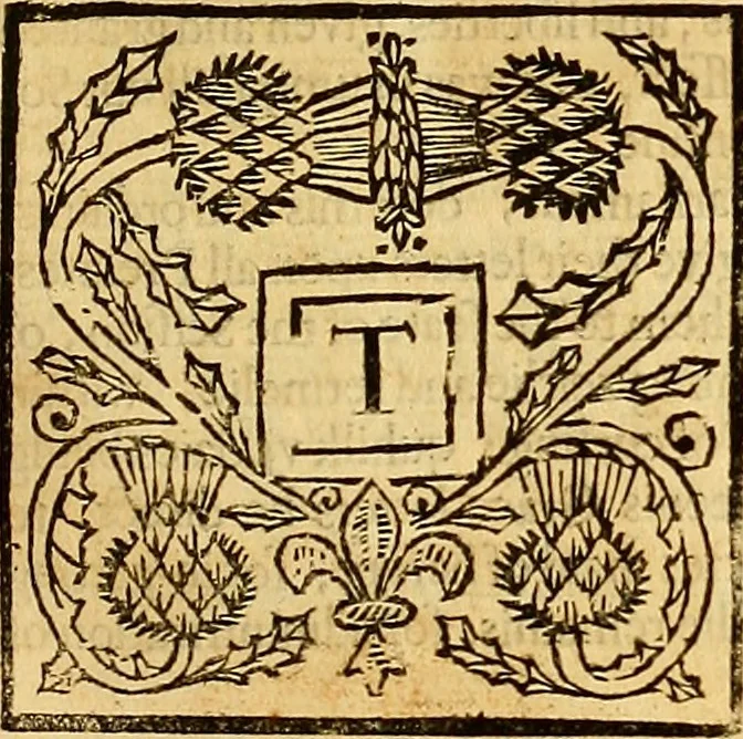 An illustration from The laws and acts of Parliament made by King James the First, Second, Third, Fourth, Fifth, Queen Mary, King James the Sixth, King Charles the First, King Charles the Second who now presently reigns, kings and queen of Scotland : collected and extracted, from the publick records of the said kingdom, 1681, leaf 156