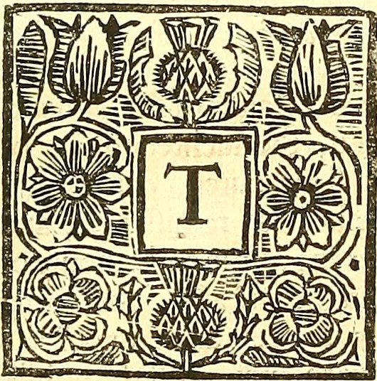 An illustration from The laws and acts of Parliament made by King James the First, Second, Third, Fourth, Fifth, Queen Mary, King James the Sixth, King Charles the First, King Charles the Second who now presently reigns, kings and queen of Scotland : collected and extracted, from the publick records of the said kingdom, 1681, leaf 157
