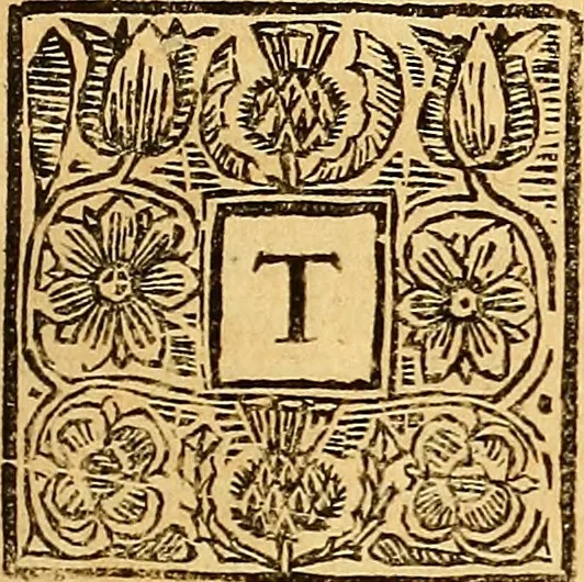 An illustration from The laws and acts of Parliament made by King James the First, Second, Third, Fourth, Fifth, Queen Mary, King James the Sixth, King Charles the First, King Charles the Second who now presently reigns, kings and queen of Scotland : collected and extracted, from the publick records of the said kingdom, 1681, leaf 164
