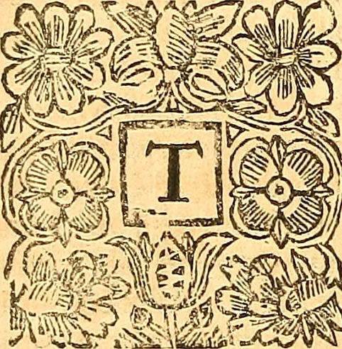 An illustration from The laws and acts of Parliament made by King James the First, Second, Third, Fourth, Fifth, Queen Mary, King James the Sixth, King Charles the First, King Charles the Second who now presently reigns, kings and queen of Scotland : collected and extracted, from the publick records of the said kingdom, 1681, leaf 169