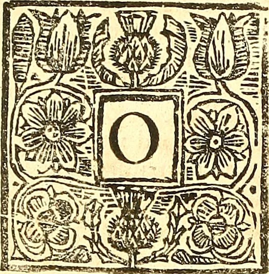 An illustration from The laws and acts of Parliament made by King James the First, Second, Third, Fourth, Fifth, Queen Mary, King James the Sixth, King Charles the First, King Charles the Second who now presently reigns, kings and queen of Scotland : collected and extracted, from the publick records of the said kingdom, 1681, leaf 225