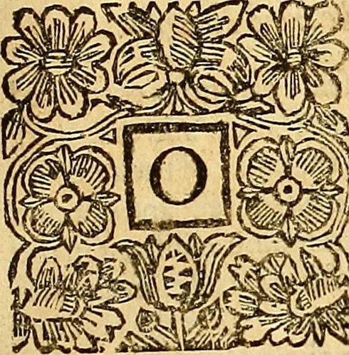 An illustration from The laws and acts of Parliament made by King James the First, Second, Third, Fourth, Fifth, Queen Mary, King James the Sixth, King Charles the First, King Charles the Second who now presently reigns, kings and queen of Scotland : collected and extracted, from the publick records of the said kingdom, 1681, leaf 228