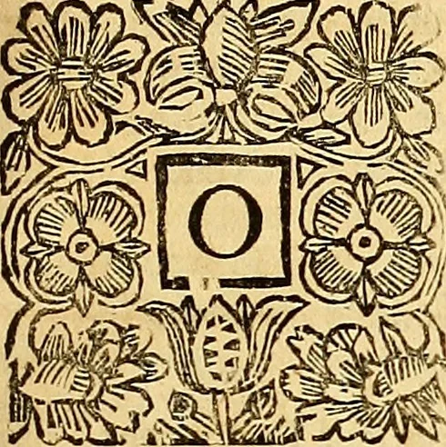 An illustration from The laws and acts of Parliament made by King James the First, Second, Third, Fourth, Fifth, Queen Mary, King James the Sixth, King Charles the First, King Charles the Second who now presently reigns, kings and queen of Scotland : collected and extracted, from the publick records of the said kingdom, 1681, leaf 242
