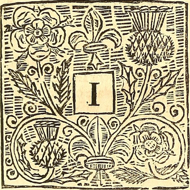 An illustration from The laws and acts of Parliament made by King James the First, Second, Third, Fourth, Fifth, Queen Mary, King James the Sixth, King Charles the First, King Charles the Second who now presently reigns, kings and queen of Scotland : collected and extracted, from the publick records of the said kingdom, 1681, leaf 25