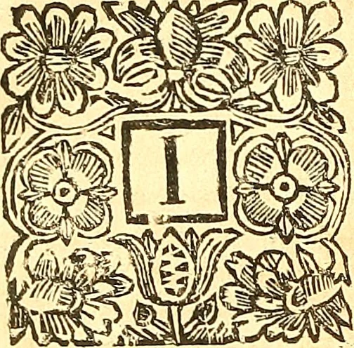 An illustration from The laws and acts of Parliament made by King James the First, Second, Third, Fourth, Fifth, Queen Mary, King James the Sixth, King Charles the First, King Charles the Second who now presently reigns, kings and queen of Scotland : collected and extracted, from the publick records of the said kingdom, 1681, leaf 273