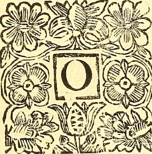An illustration from The laws and acts of Parliament made by King James the First, Second, Third, Fourth, Fifth, Queen Mary, King James the Sixth, King Charles the First, King Charles the Second who now presently reigns, kings and queen of Scotland : collected and extracted, from the publick records of the said kingdom, 1681, leaf 337