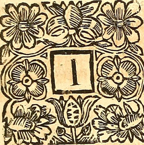 An illustration from The laws and acts of Parliament made by King James the First, Second, Third, Fourth, Fifth, Queen Mary, King James the Sixth, King Charles the First, King Charles the Second who now presently reigns, kings and queen of Scotland : collected and extracted, from the publick records of the said kingdom, 1681, leaf 37
