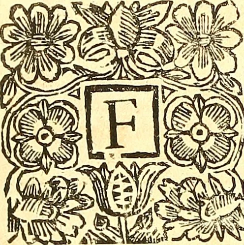 An illustration from The laws and acts of Parliament made by King James the First, Second, Third, Fourth, Fifth, Queen Mary, King James the Sixth, King Charles the First, King Charles the Second who now presently reigns, kings and queen of Scotland : collected and extracted, from the publick records of the said kingdom, 1681, leaf 397