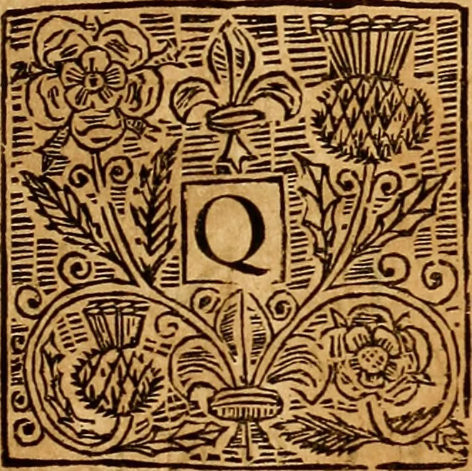 An illustration from The laws and acts of Parliament made by King James the First, Second, Third, Fourth, Fifth, Queen Mary, King James the Sixth, King Charles the First, King Charles the Second who now presently reigns, kings and queen of Scotland : collected and extracted, from the publick records of the said kingdom, 1681, leaf 44