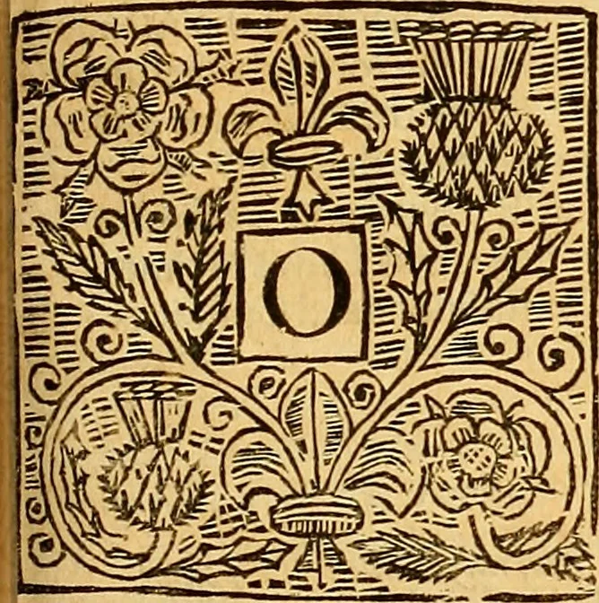 An illustration from The laws and acts of Parliament made by King James the First, Second, Third, Fourth, Fifth, Queen Mary, King James the Sixth, King Charles the First, King Charles the Second who now presently reigns, kings and queen of Scotland : collected and extracted, from the publick records of the said kingdom, 1681, leaf 460