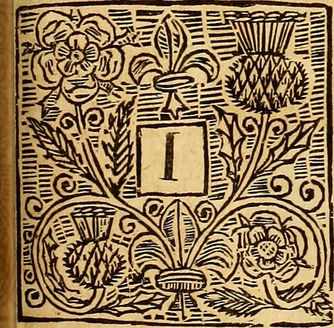 An illustration from The laws and acts of Parliament made by King James the First, Second, Third, Fourth, Fifth, Queen Mary, King James the Sixth, King Charles the First, King Charles the Second who now presently reigns, kings and queen of Scotland : collected and extracted, from the publick records of the said kingdom, 1681, leaf 502