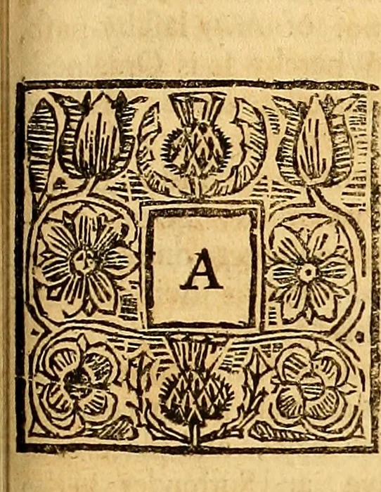 An illustration from The laws and acts of Parliament made by King James the First, Second, Third, Fourth, Fifth, Queen Mary, King James the Sixth, King Charles the First, King Charles the Second who now presently reigns, kings and queen of Scotland : collected and extracted, from the publick records of the said kingdom, 1681, leaf 542