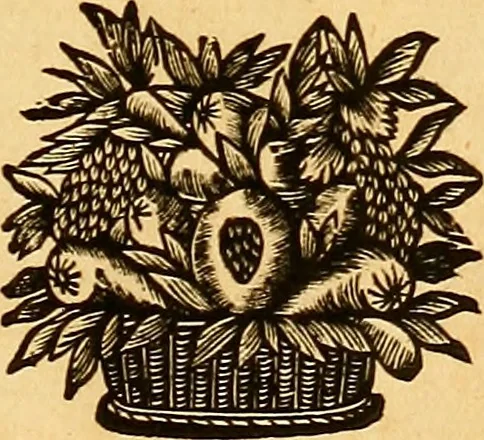 An illustration from The laws and acts of Parliament made by King James the First, Second, Third, Fourth, Fifth, Queen Mary, King James the Sixth, King Charles the First, King Charles the Second who now presently reigns, kings and queen of Scotland : collected and extracted, from the publick records of the said kingdom, 1681, leaf 562