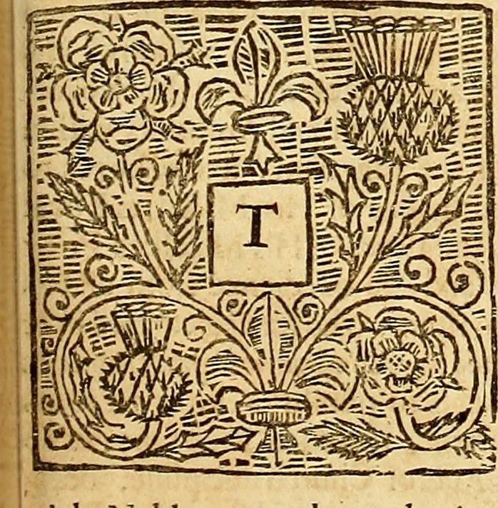 An illustration from The laws and acts of Parliament made by King James the First, Second, Third, Fourth, Fifth, Queen Mary, King James the Sixth, King Charles the First, King Charles the Second who now presently reigns, kings and queen of Scotland : collected and extracted, from the publick records of the said kingdom, 1681, leaf 646