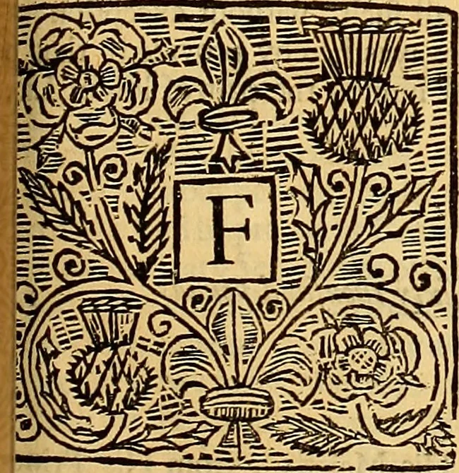An illustration from The laws and acts of Parliament made by King James the First, Second, Third, Fourth, Fifth, Queen Mary, King James the Sixth, King Charles the First, King Charles the Second who now presently reigns, kings and queen of Scotland : collected and extracted, from the publick records of the said kingdom, 1681, leaf 702