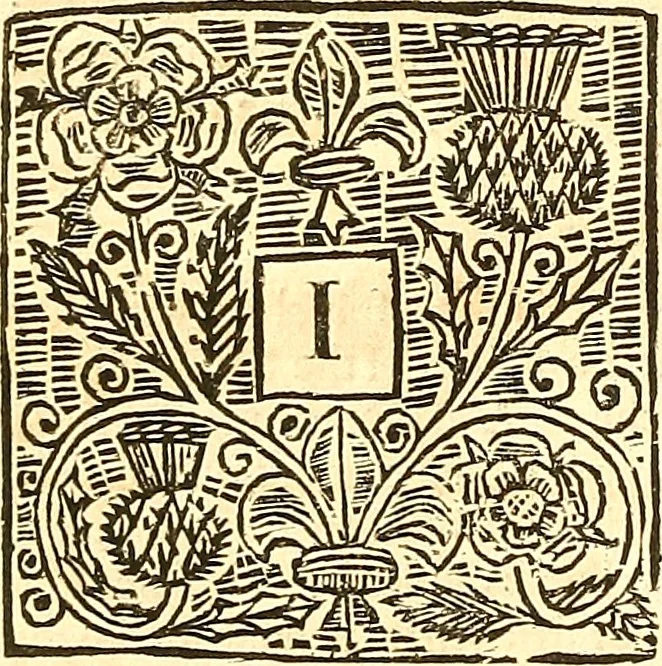 An illustration from The laws and acts of Parliament made by King James the First, Second, Third, Fourth, Fifth, Queen Mary, King James the Sixth, King Charles the First, King Charles the Second who now presently reigns, kings and queen of Scotland : collected and extracted, from the publick records of the said kingdom, 1681, leaf 71