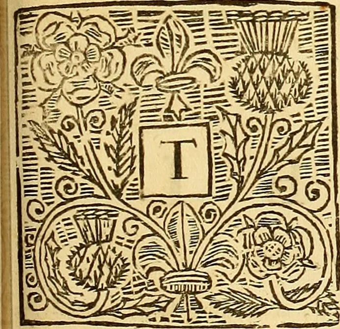 An illustration from The laws and acts of Parliament made by King James the First, Second, Third, Fourth, Fifth, Queen Mary, King James the Sixth, King Charles the First, King Charles the Second who now presently reigns, kings and queen of Scotland : collected and extracted, from the publick records of the said kingdom, 1681, leaf 742