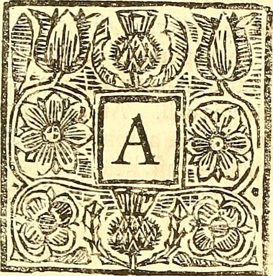 An illustration from The laws and acts of Parliament made by King James the First, Second, Third, Fourth, Fifth, Queen Mary, King James the Sixth, King Charles the First, King Charles the Second who now presently reigns, kings and queen of Scotland : collected and extracted, from the publick records of the said kingdom, 1681, leaf 91