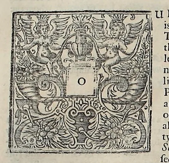 An illustration from Laws and acts of Parliament made by King James the First, Second, Third, Fourth, Fifth, Queen Mary, King James the Sixth, King Charles the First, King, 1681, leaf 841