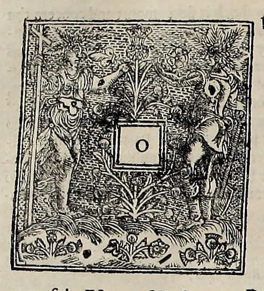 An illustration from Laws and acts of Parliament made by King James the First, Second, Third, Fourth, Fifth, Queen Mary, King James the Sixth, King Charles the First, King, 1681, leaf 869