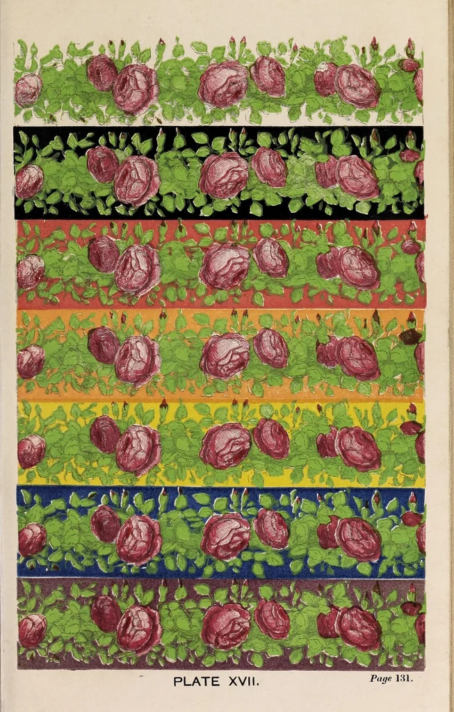 An illustration from The laws of contrast of colour : and their application to the arts of painting, decoration of buildings, mosaic work, tapestry and carpet weaving, calico printing, dress, paper staining, printing, military clothing, illumination, landscape, and flower gardening, &c., 1861, leaf 219