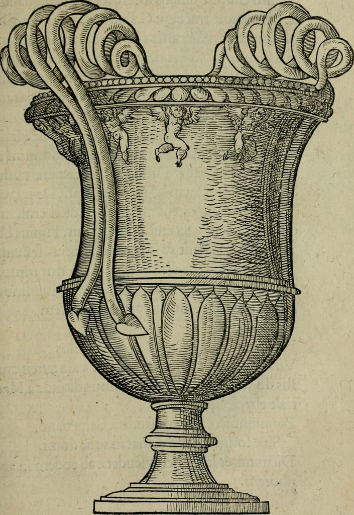 An illustration from Lazari Bayfii annotationes in L.II. : De captivis, et postliminio reversis. in qvibvs tractatvr de re navali : eivsdem annotationes in tractatum de auro & argeto leg. quibus, vestimentoru, & vasculorum genera explicantur. Antonii Thylesii de coloribus libellus, à coloribus vestium non alienus, 1536, leaf 314