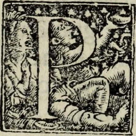 An illustration from Lazari Bayfii annotationes in legem II : De captiuis & postliminio reuersis, in quibus tractatur De re nauali, per autorem recognitæ : eivsdem annotationes in tractatum De auro & argento legato, quibus vestimẽtoru ̃& vasculorũ genera explicat̃ur : his omnibus imagines ab antiquissimis monumentis desumptas ad argumenti declaratione ̃subiunximus. Item Antonii Thylesii De coloribus libellus, à coloribus uestium non alienus, 1537, leaf 13