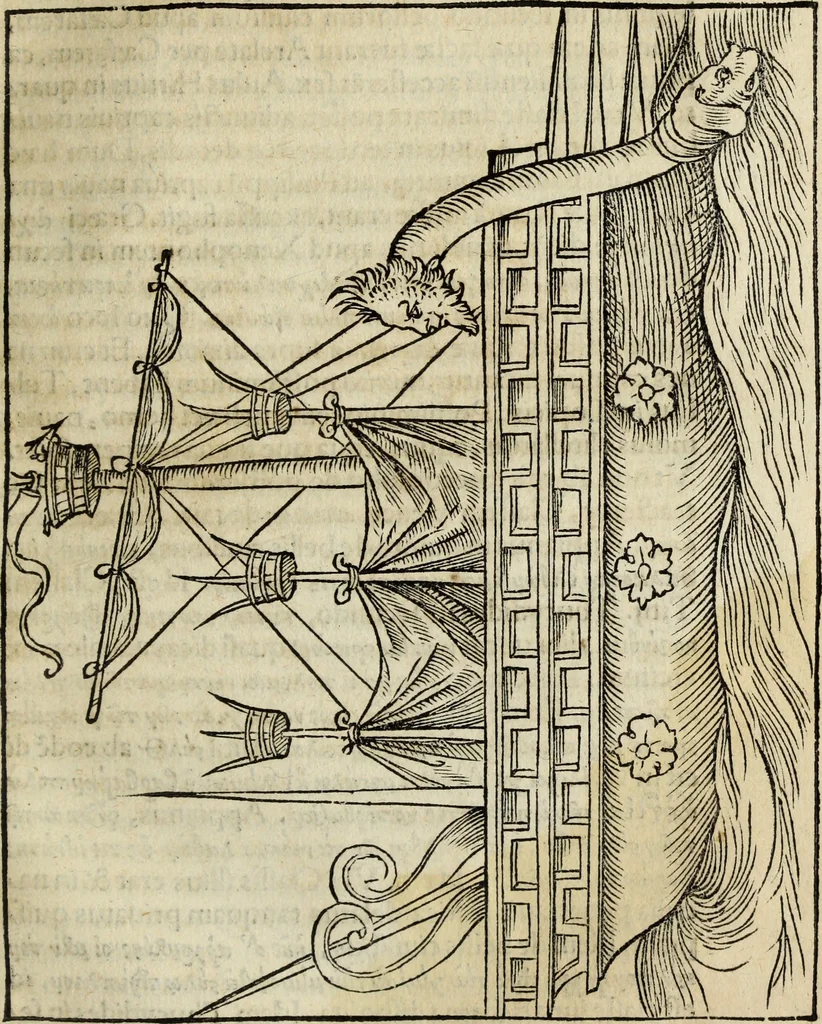 An illustration from Lazari Bayfii annotationes in legem II : De captiuis & postliminio reuersis, in quibus tractatur De re nauali, per autorem recognitæ : eivsdem annotationes in tractatum De auro & argento legato, quibus vestimẽtoru ̃& vasculorũ genera explicat̃ur : his omnibus imagines ab antiquissimis monumentis desumptas ad argumenti declaratione ̃subiunximus. Item Antonii Thylesii De coloribus libellus, à coloribus uestium non alienus, 1537, leaf 136